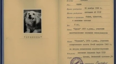 Hladno rata štene: fluffing u obitelji kennedy